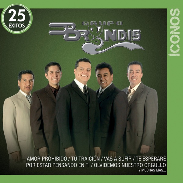 Grupo Bryndis - Por Estar Pensando en Ti