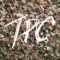 Hercules - Tokyo Police Club lyrics