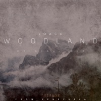Woodland - Single - Joaco
