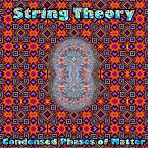 Condensed Phases of Matter