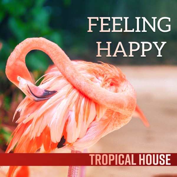 Feeling Happy - Tropical House, Ibiza Chill Out Mix