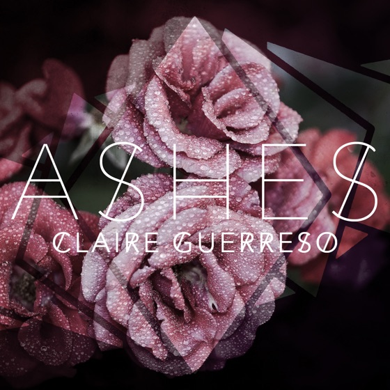 Cover artwork for Ashes