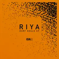 Numbers feat Maverick Soul — Riya