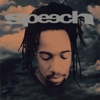 Speech - Like Marvin Gaye Said (What's Goin' On)