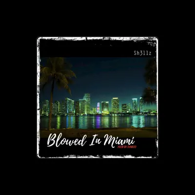 Listen to Sh3llz, watch music videos, read bio, see tour dates & more!