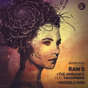 The Ambiance / Invisible Man - Single