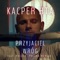 Przyjaciel Wróg (feat. Paluch & Polska Wersja) - Kacper HTA lyrics