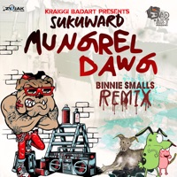 Mungrel Dawg (feat. Sukuward) [Binnie Smalls Remix] - Single - KraiGGi BaDArT