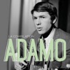 Salvatore Adamo - Vous permettez, monsieur ?