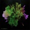 The Less I Know the Better - Alembia lyrics