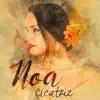 NOA - Naquela Mesa