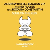 Soul on the Run (feat. Roxana Constantin) [Extended Progressive Mix] artwork