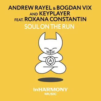 Soul on the Run (feat. Roxana Constantin) [Club Mix] by Andrew Rayel, Bogdan Vix & KeyPlayer song reviws