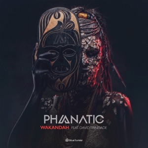 Wakandah (feat. David Trindade)