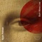 Burn Mona Lisa - Kyan Palmer lyrics