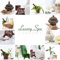 Ancient Greek Sauna - Serenity Spa Music Zone lyrics