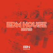 EDM House 2018 - Various Artists