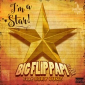 I'm a Star (feat. Cory Gunz) artwork