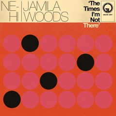 The Times I'm Not There (feat. Jamila Woods) - Single