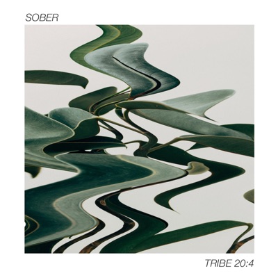 Sober (feat. Impakt, Tojou, Zuma., pavenb. & Johnny Hikari) - Single
