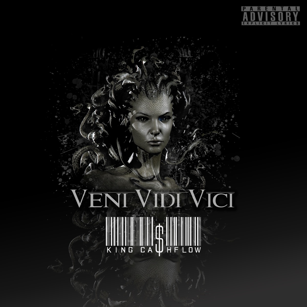 Veni Vidi Vici Poster