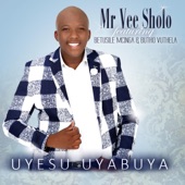 Uyingcwele Jesu artwork