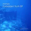 Stream & download Forbidden Truth - Single