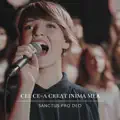 Cel ce