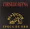 No Me Acuerdo - Cornelio Reyna lyrics