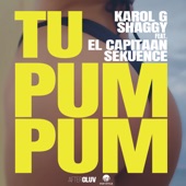 Tu Pum Pum (feat. El Capitaan & Sekuence) artwork