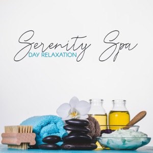 Serenity Spa Day Relaxation: Summer Holiday Wellness & Massage, Delicate Sounds, Spa Perfect Time
