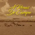 Pra ganhá as campereada
