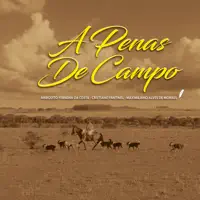 DE CAMPO E PECUARIA — CRISTIANO FANTINEL