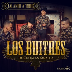 Los Buitres de Culiacan Sinaloa - Hay Alguien Aquí