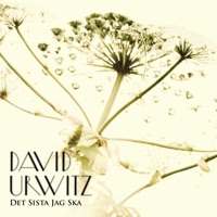 Det Sista Jag Ska - Single - David Urwitz