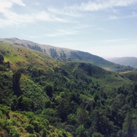 Kinda Lovely Vannorte