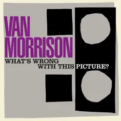 What's Wrong With This Picture? - Van Morrison