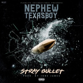 Stray Bullet Nephewtexasboy