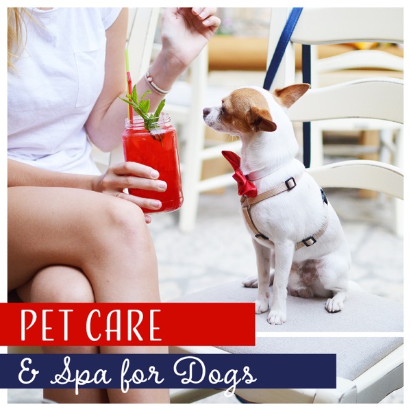 Pet Care & Spa for Dogs - Healing Music for Beauty Salon, Relaxation, Relieve Anxiety, Quiet Time