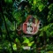 Jungle - Justrap lyrics