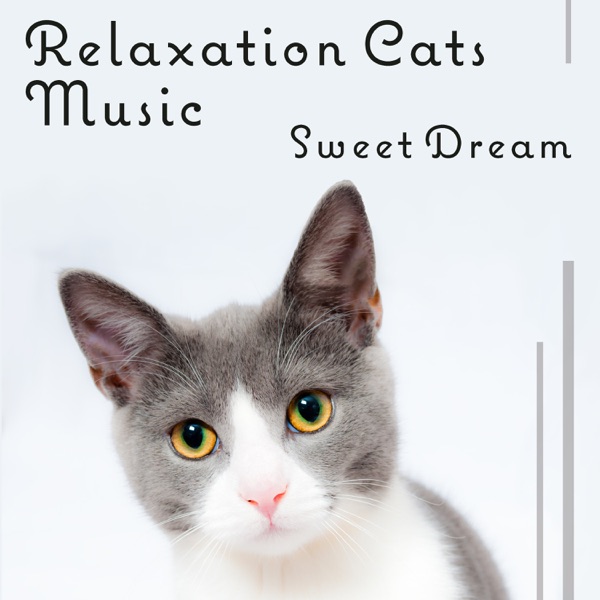 Relaxation Cats Music: Sweet Dream – Calming Sounds for Peaceful Slumber, Relax House, Anxiety Problems, Fear of Noise