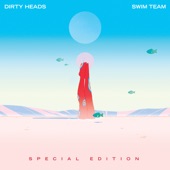 Dirty Heads - Celebrate