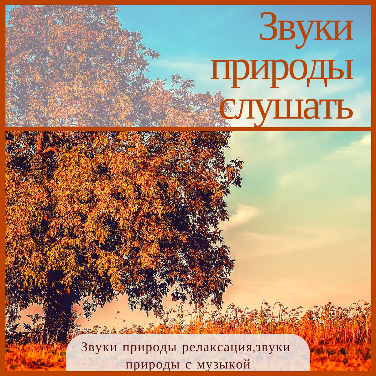 Звуки природы. Звуки природы альбом. Звуки природы для релаксации. Звуки природы обложка. Осенние звуки природы. Звуки природы. Звуки природы альбом. Звуки природы для релаксации. Звуки природы обложка.
