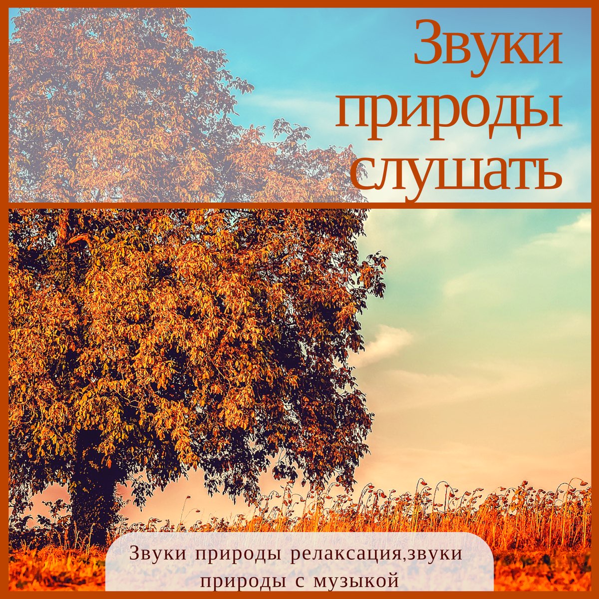 Звуки природы днем. Звуки природы. Звуки природы альбом. Звуки природы обложка. Звуки природы для релаксации.