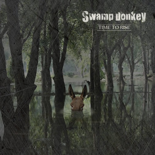 Swamp Donkey - Pawns & Kings - Single
