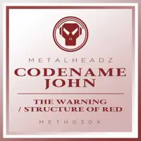 The Warning (2017 Remaster) — Codename John