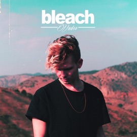 Bleach Vader the Villin