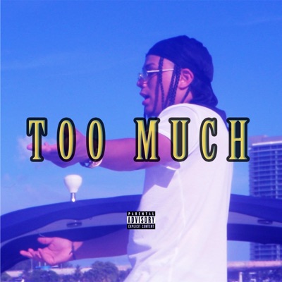 Too Much - Single