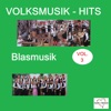 Volksmusik-Hits: Blasmusik, Vol. 3