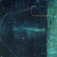 If Trees Could Fly - Marc Johnson & Eric Longsworth